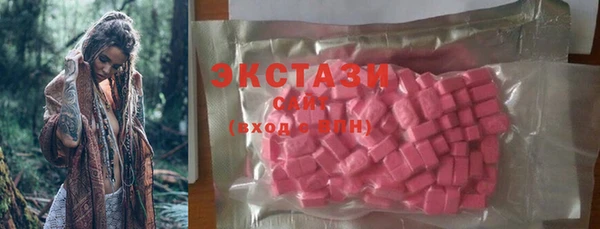 соль ск Тайга