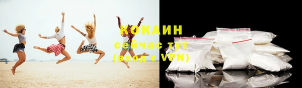 PSILOCYBIN Сясьстрой