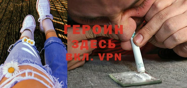 соль ск Тайга
