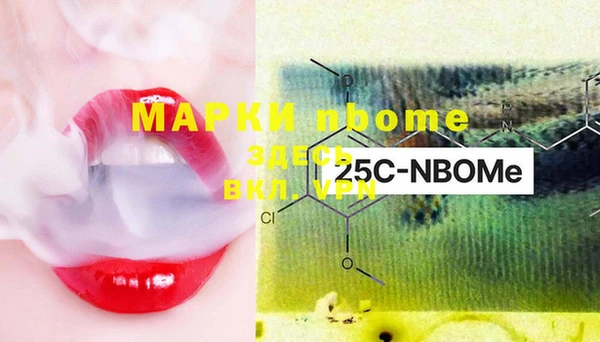 PSILOCYBIN Сясьстрой