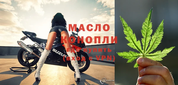 соль ск Тайга