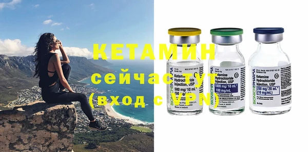 соль ск Тайга