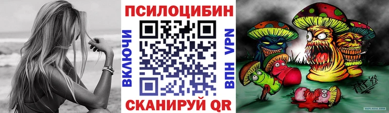 купить закладку  Шлиссельбург  Псилоцибиновые грибы Psilocybe 